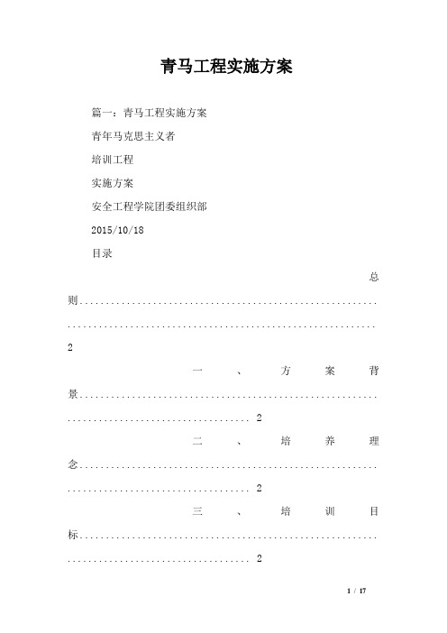 青马工程实施方案