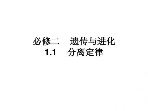 1.1 分离定律