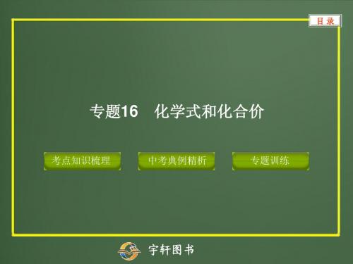 专题9 化学式和化合价