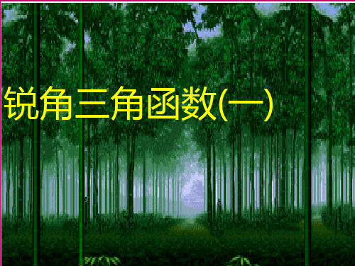 《锐角三角函数》PPT课件 (公开课)2022年浙教版 (7)