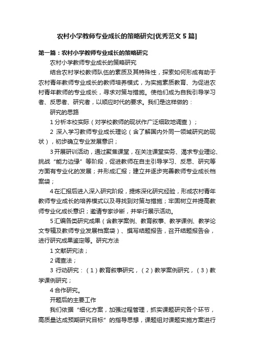 农村小学教师专业成长的策略研究[优秀范文5篇]