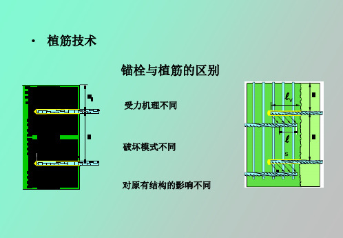 植筋国家规范