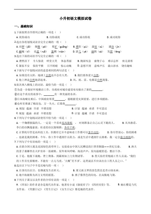 人教版小升初语文模拟试卷附答案