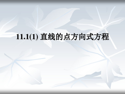 沪教版——11.1(1)直线的点方向式方程