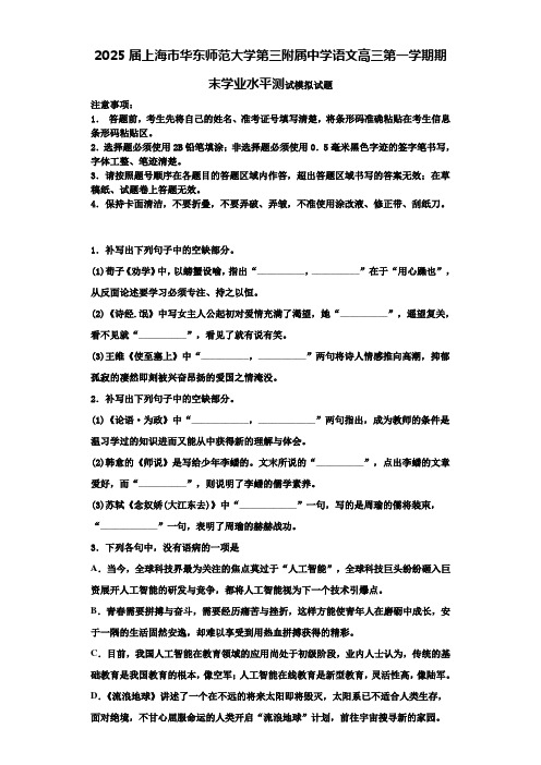 2025届上海市华东师范大学第三附属中学语文高三第一学期期末学业水平测试模拟试题含解析