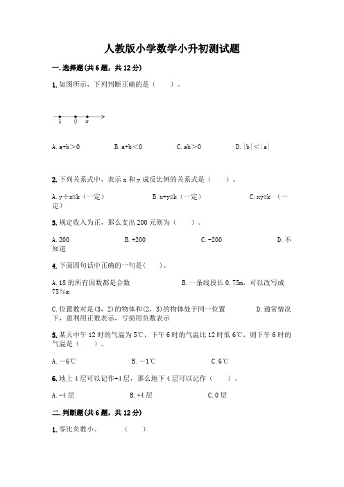 人教版小学数学小升初测试题-精品(名校卷)附参考答案(综合卷)