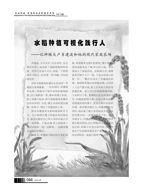 水稻种植可视化践行人——记种粮大户肖建波和他的现代家庭农场