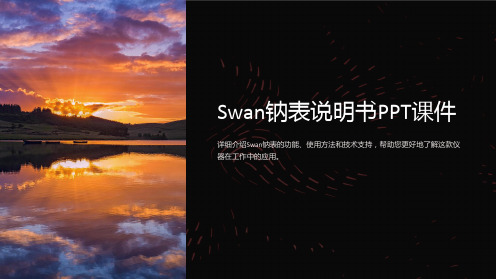 《swan钠表说明书》课件