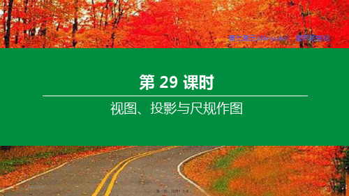 中考数学复习方案 第七单元 图形的变化 第29课时 视图、投影与尺规作图课件