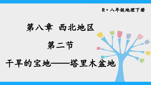 八年级地理下册《干旱的宝地——塔里木盆地》教学课件