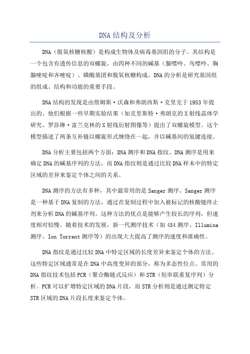 DNA结构及分析