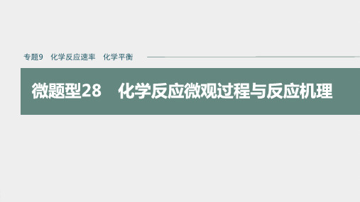 专题9 微题型28 化学反应微观过程与反应机理