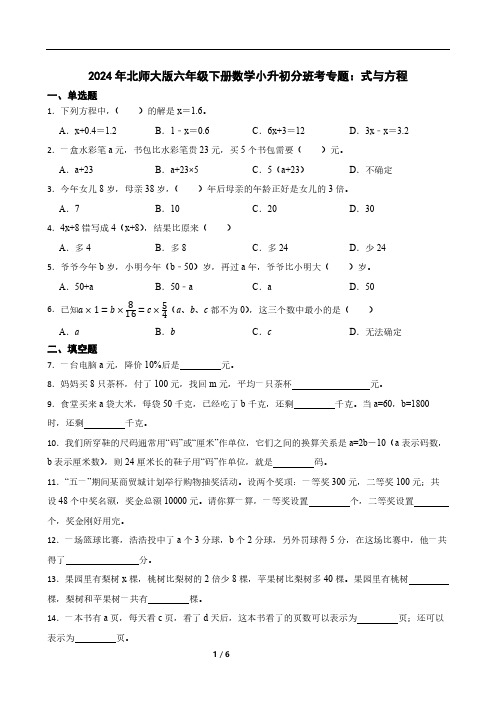 2024年北师大版六年级下册数学小升初分班考专题：式与方程(含答案)