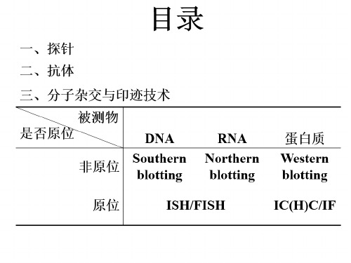 基因组学课件 第8章 分子杂交与印迹技术