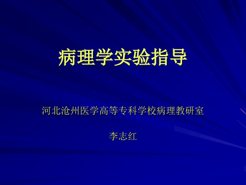 病理学实验指导