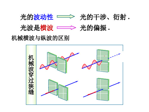 光的偏振马吕斯定律