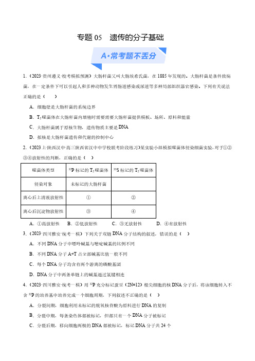 专题05  遗传的分子基础(分层练)(原卷版)