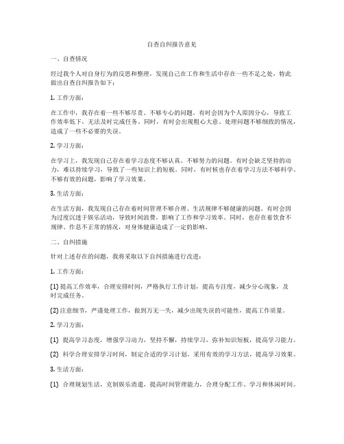 自查自纠报告意见