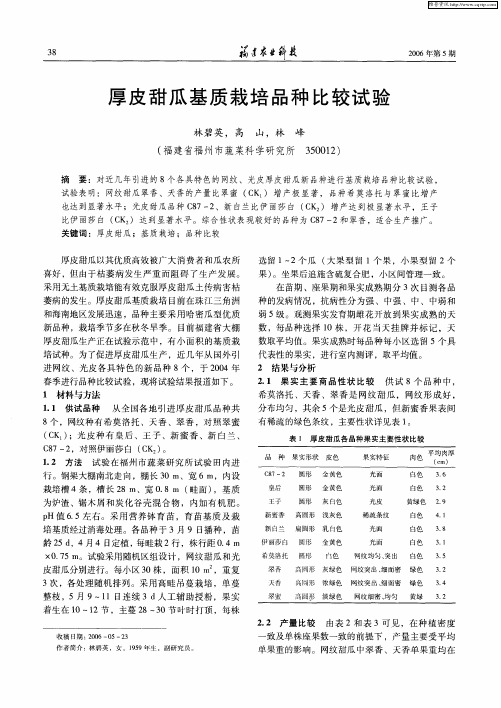 厚皮甜瓜基质栽培品种比较试验