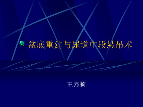 盆底重建与尿道中段悬吊术