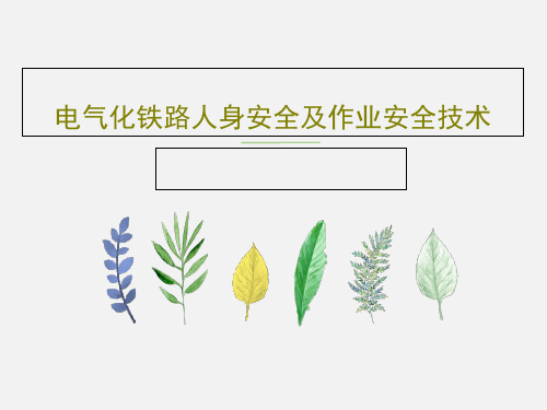 电气化铁路人身安全及作业安全技术PPT文档36页