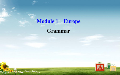 2018-2019学年高中英语(外研版)必修三配套课件：Module 1 Period 3 Grammar 语法专题课 精讲优练课型