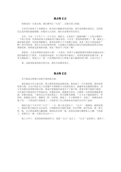 斑点狗作文
