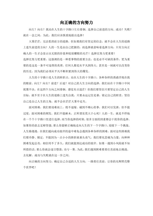 向正确的方向努力作文800字