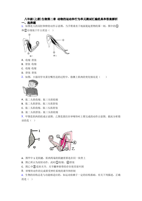 八年级(上册)生物第二章 动物的运动和行为单元测试汇编经典和答案解析