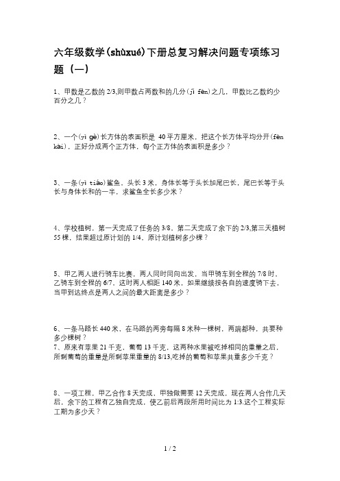 六年级数学下册总复习解决问题专项练习题