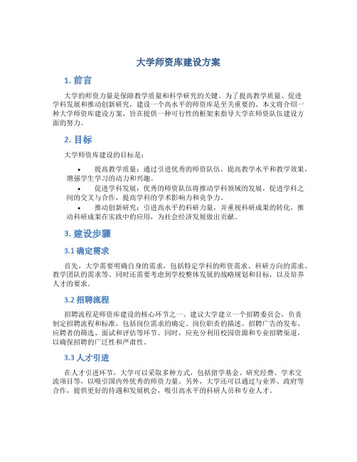 大学师资库建设方案