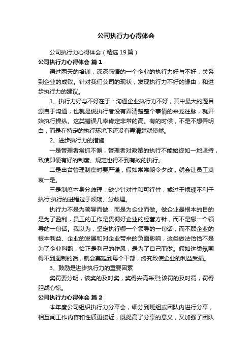 公司执行力心得体会（精选19篇）