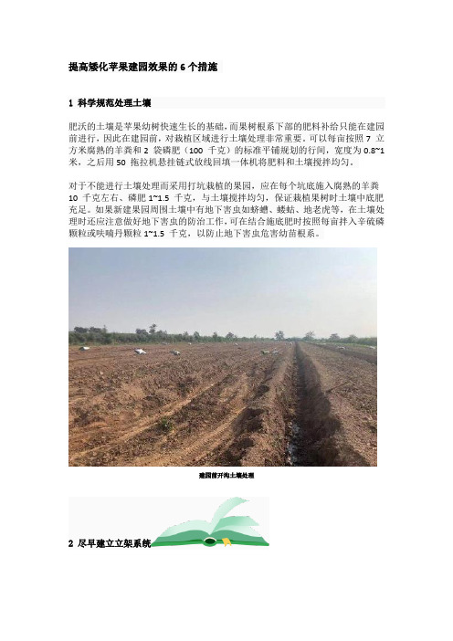 提高矮化苹果建园效果的6个措施