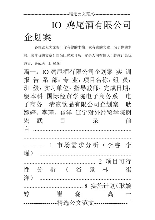 IO鸡尾酒有限公司企划案_0