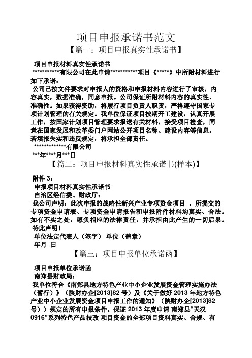 项目申报承诺书范文