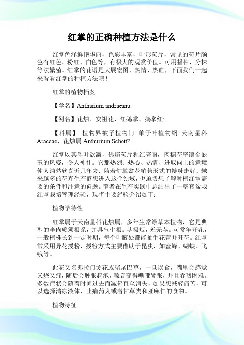 红掌的正确种植方法是什么.doc