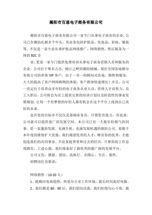 揭阳百恩电子商务有限公司