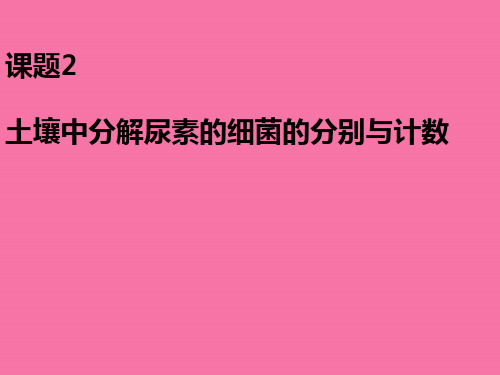 课题土壤中分解尿素的细菌的分离与计数ppt课件