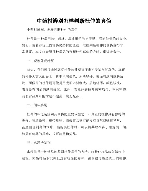 中药材辨别怎样判断杜仲的真伪