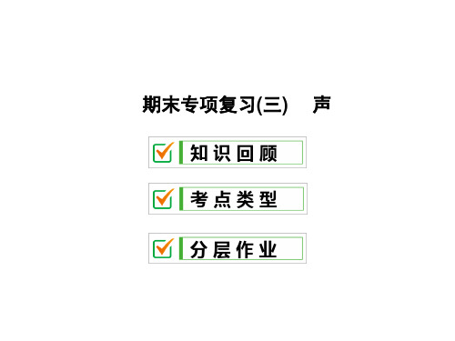 期末专项复习(三) 声—2020秋教科版八年级物理上册课件(共27张PPT)