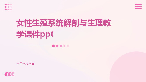 女性生殖系统解剖与生理教学课件ppt