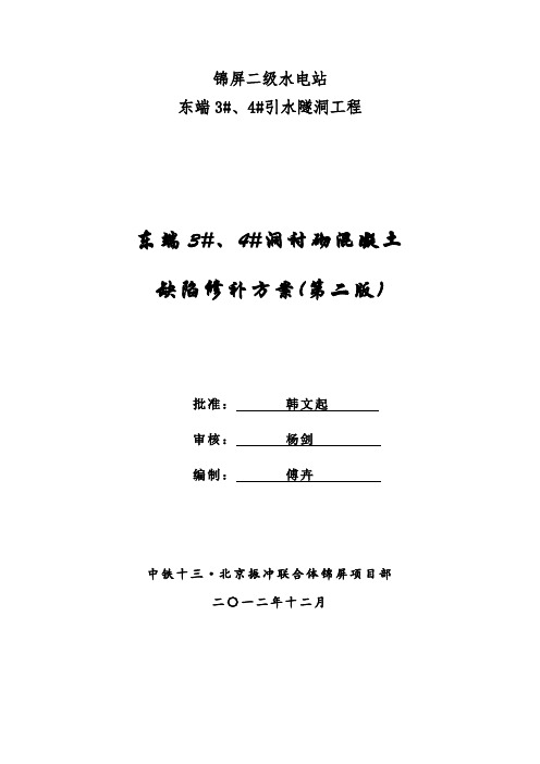 东端3#、4#引水隧洞衬砌混凝土缺陷修补方案