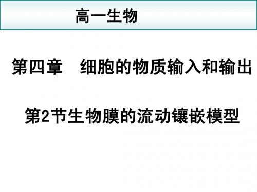 【湖南师大内部资料】高中生物必修Ⅰ精美可编辑课件 (生物膜的流动镶嵌模型)
