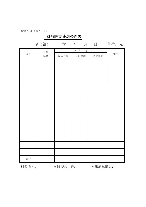 村级财务公开用表