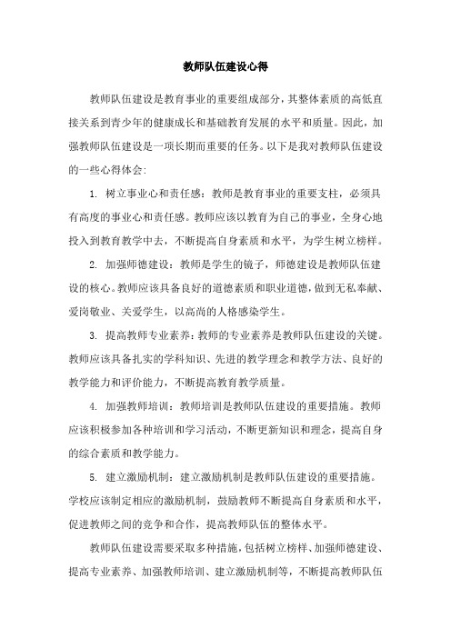 教师队伍建设心得