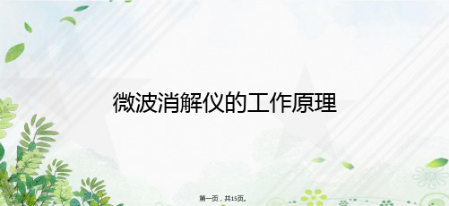 微波消解仪的工作原理讲课文档