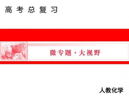 2019高考化学人教版一轮课件：微专题八：离子浓度大小比较专题突破