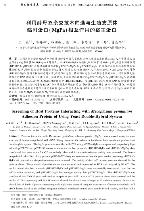 利用酵母双杂交技术筛选与生殖支原体黏附蛋白(MgPa)相互作用的宿主蛋白