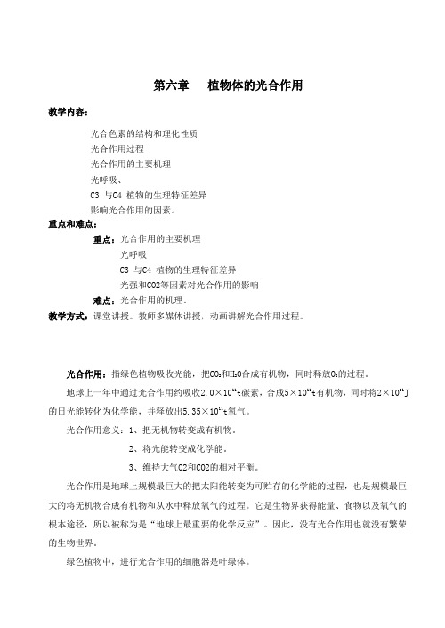 植物体的光合作用(精)