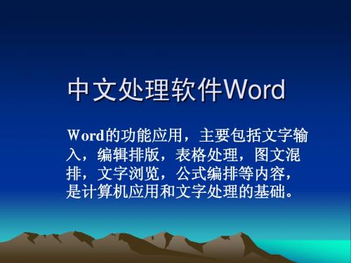 Word详解